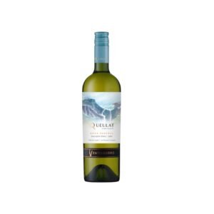 Ventisquero Queulat grand reserva sauvignon blanc